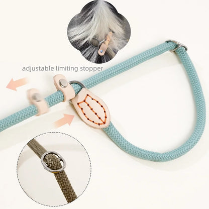 the TRAINMASTER BRAIDED LEAD - 1.5M/1.8M Dog Leash Slip Rope, Lead Leash Heavy Duty Braided Rope, Adjustable Loop Collar Training Leashes for Medium/Large Dogs