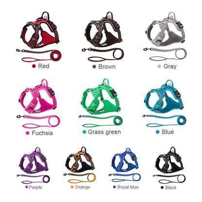 the SUREGRIP ALL-IN-ONE - Truelove Pet Harness+Pet Leash Set, Rope 110cm/200cm, All-in-One Reflective Dog Harness, No Pull, Adjustable Buckles