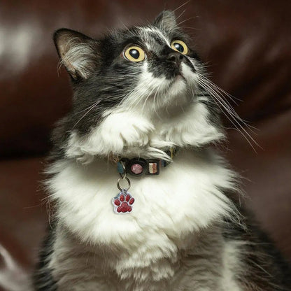 Cat Dog Paw Print Dog Cat Tags Personalized Anti-Lost Pet Glitter Pendant Exquisite with Hook Pet Collar Tag Pendant Kitten