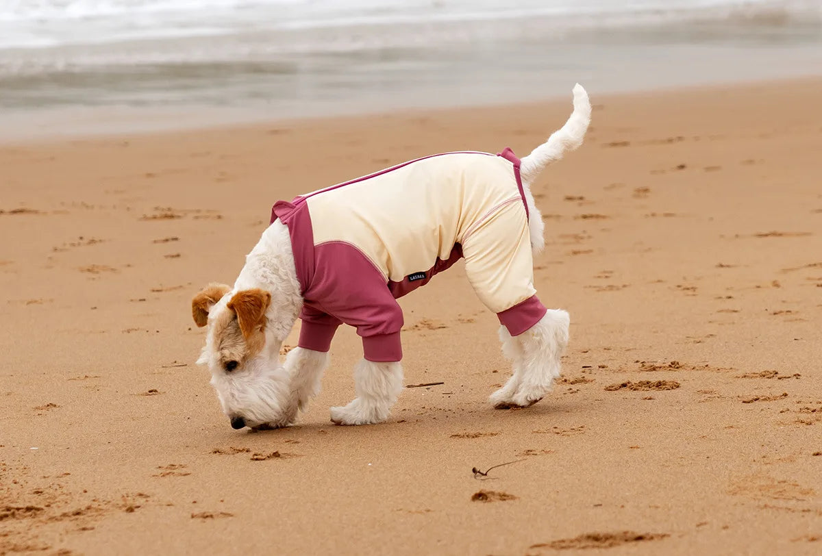 Summer Cooling Dog Vest Shirt UPF50+ Sun Protection Dog Jumpsuit Fast Drying Dirt-Proof Dog Clothing Soft Summer Outdoor Overall