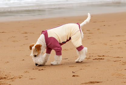 Summer Cooling Dog Vest Shirt UPF50+ Sun Protection Dog Jumpsuit Fast Drying Dirt-Proof Dog Clothing Soft Summer Outdoor Overall