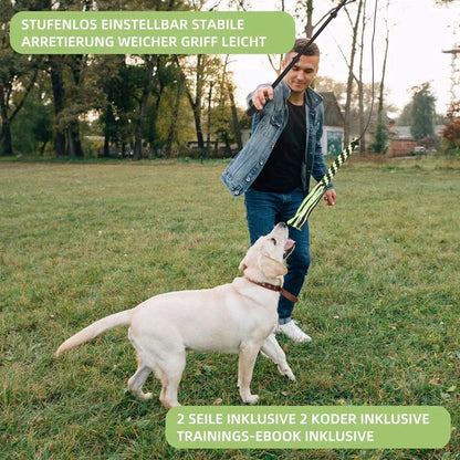 Dog Toy Flirt Pole Teeth Grind Training Extendable Interactive Funny Chasing Tail Teaser Exerciser for Pets Outdoor Playing Toys