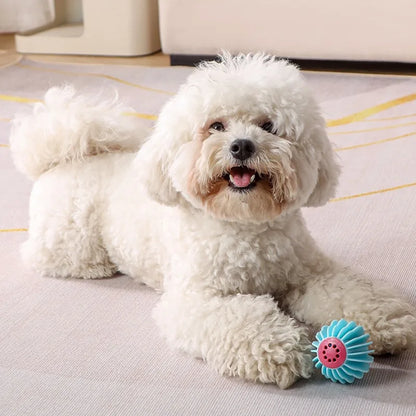 Dogs Interactive Toys TPR Dog Chew Toy Pet Teeth Cleaning Bite Resistance Dog Ball Puppy Sound Toy Pet Products Accessories