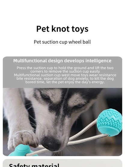 Dog Toys TPR Ball Teeth Grinding Cleaning Teeth Pet Play Suction Cup Elastic Pull Rope Chew Toy Dog Supplies