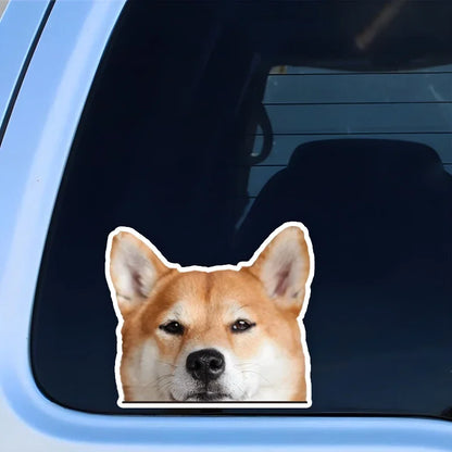 Cute Shiba Inu Dog Car Decals Bumper Window Stickers Wear resistant Easy to apply Car Accessories Waterproof Vinyl Material