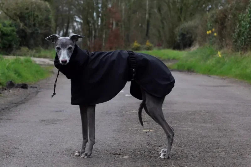 the DOBBIN DOG - Spring and Autumn Outing Breathable and Comfortable Dobbin Dog Clothes, Casual Warm Pet Raincoat Leisure Dog Cloak Raincoat