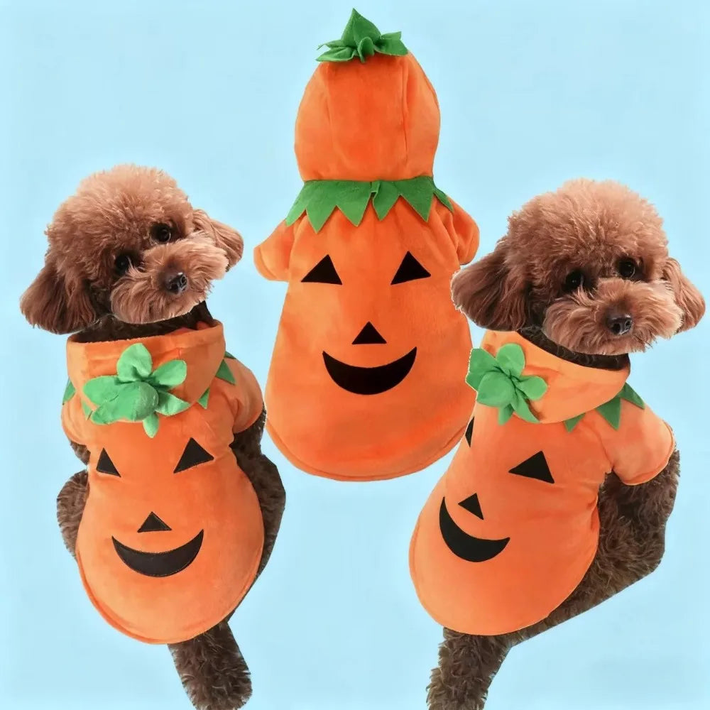Pet Clothes Halloween Funny Pumpkin  Pirate Transformation Cat Small Dog Transformation Dress Photo Dog Clothes Pet Supplies
