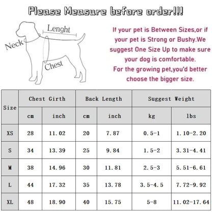 the SNUGGLEBEAR OUTDOOR COAT - Waterproof Cotton Jacket with Bear Print, Warm Winter Coat, Four-Legged Dog Clothes, Chihuahua, Poodle, Bichon Puppy Accessories