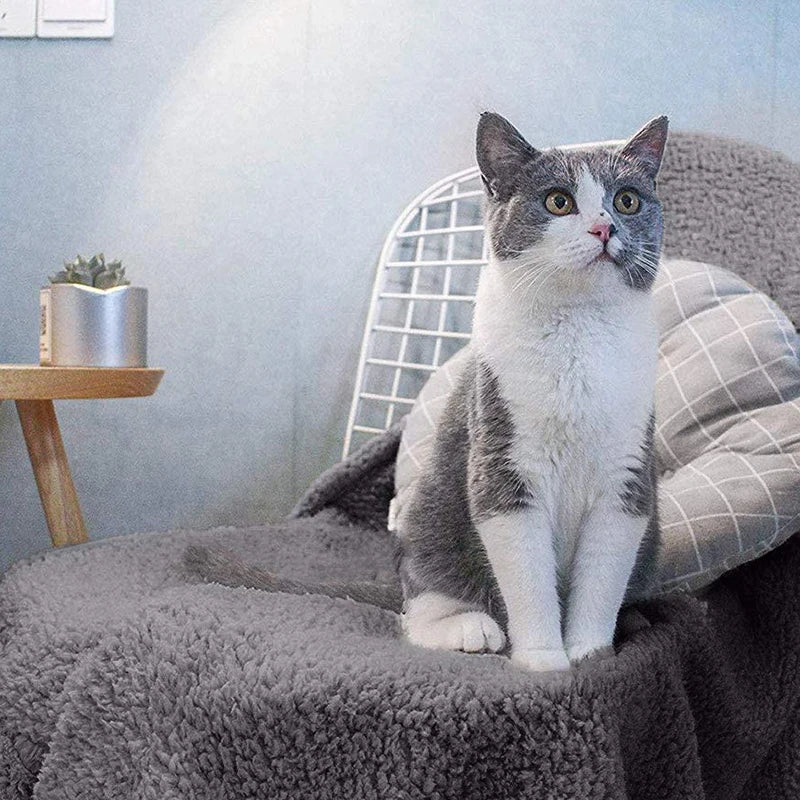 Pet Blanket Shu Cotton Velvet Dog Cat Blanket Mat Pet Supplies