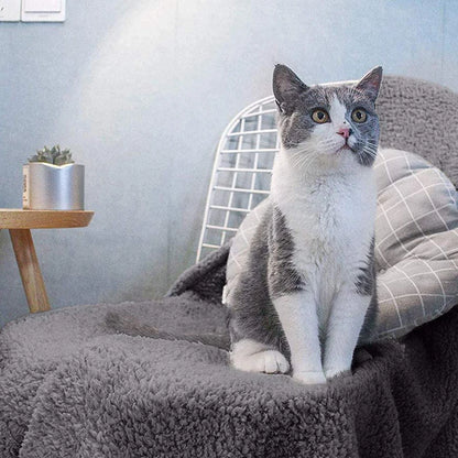 Pet Blanket Shu Cotton Velvet Dog Cat Blanket Mat Pet Supplies