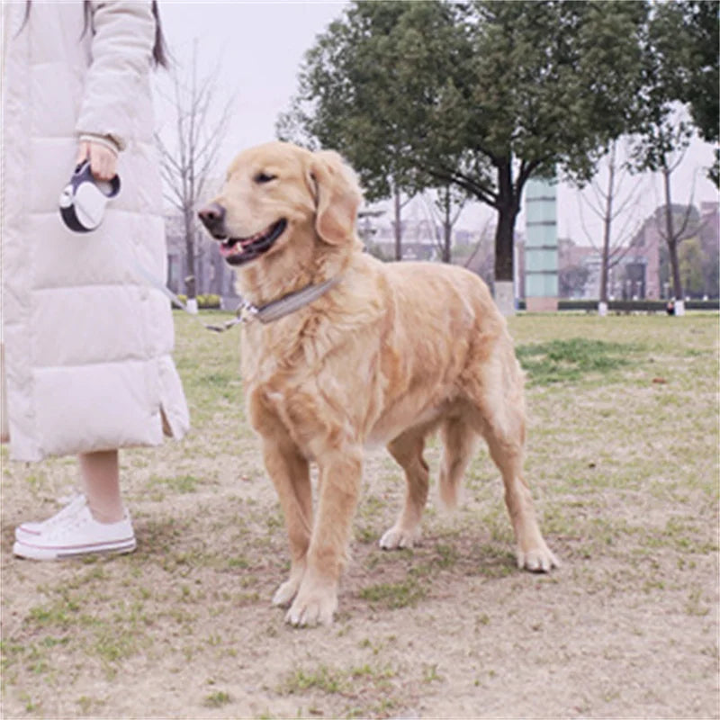 the TRAILMATE 3-IN-1 LEASH - 5M/8M Dog Leash with Poop Bag Dispenser, Automatic Roulette Tow Rope with Detachable LED Flashlight, Pet Puppy Collar Walking Lead