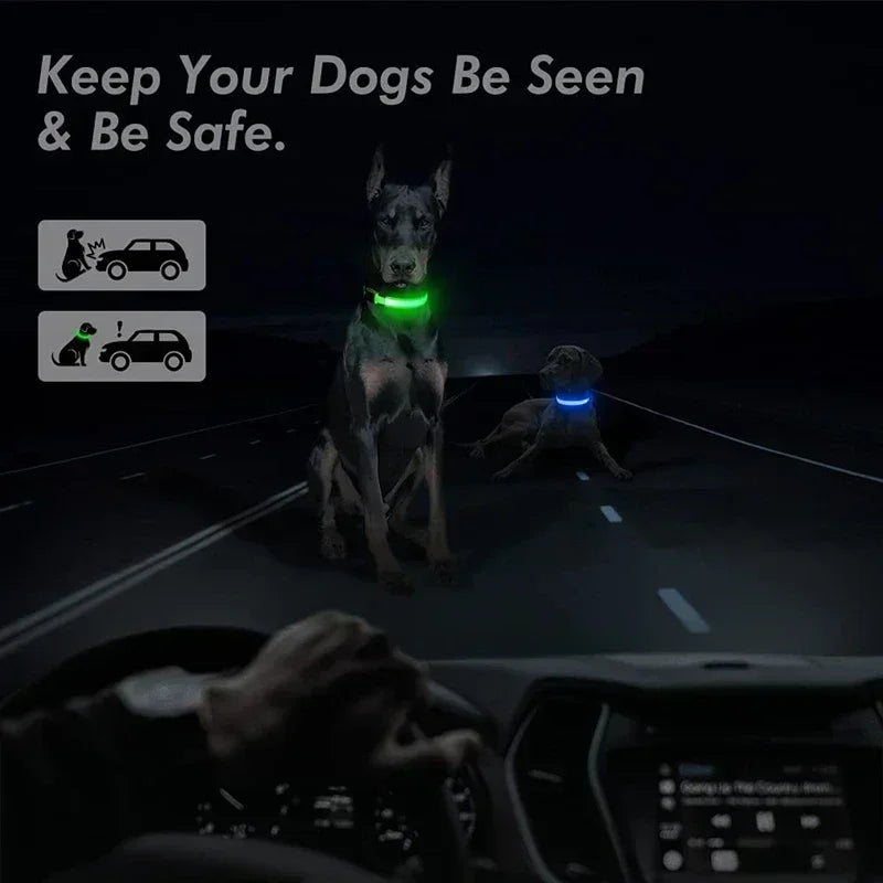 the LUMAGLOW ANTI-LOST COLLAR - LED Glowing Dog Collar, Adjustable Flashing Rechargeable Luminous Collar, Night Anti-Lost Dog Light Harness for Small Dog, Pet Products