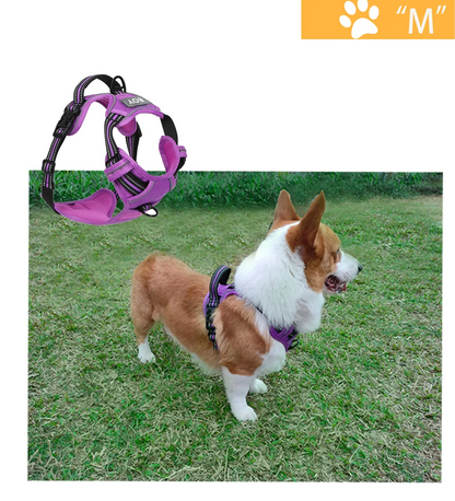 the REFLECTAGUARD PADDED HARNESS - Dog Harness, Pet Harness with Pull - 1 Leash Clip, Adjustable Padded Dog Vest, Reflective Non-Choking Pet Vest with Free Nameplate