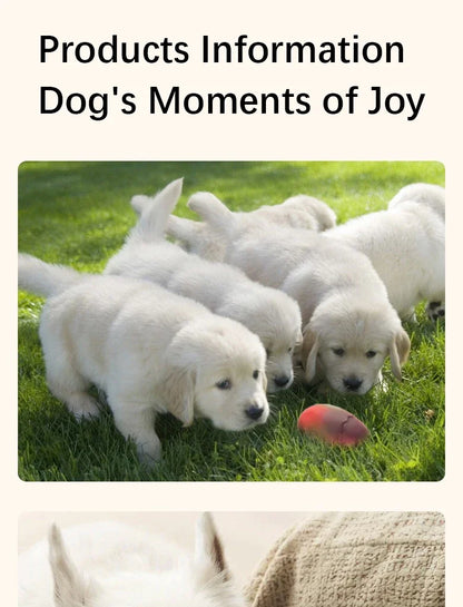 Dog Latex Toys Interactive Games Stretchable Dragon Eggs Teething Playing Easy Clean Squeeze Transform Sound Toys Pet Supplies