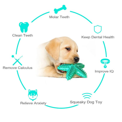 Squeak Toothbrush Chew Dog Toy Starfish Soft Rubber Puppy Plaything Interactive Chewing Dogs Toys With Sound Aggressive Chew Toy