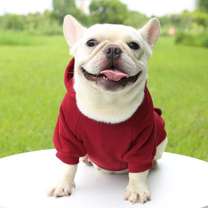 Fashion Dog Clothing Autumn And Winter Small Pet Clothes Thickening Warm Solid Color Two-Feet Hooded Wweater Casual Pet Products