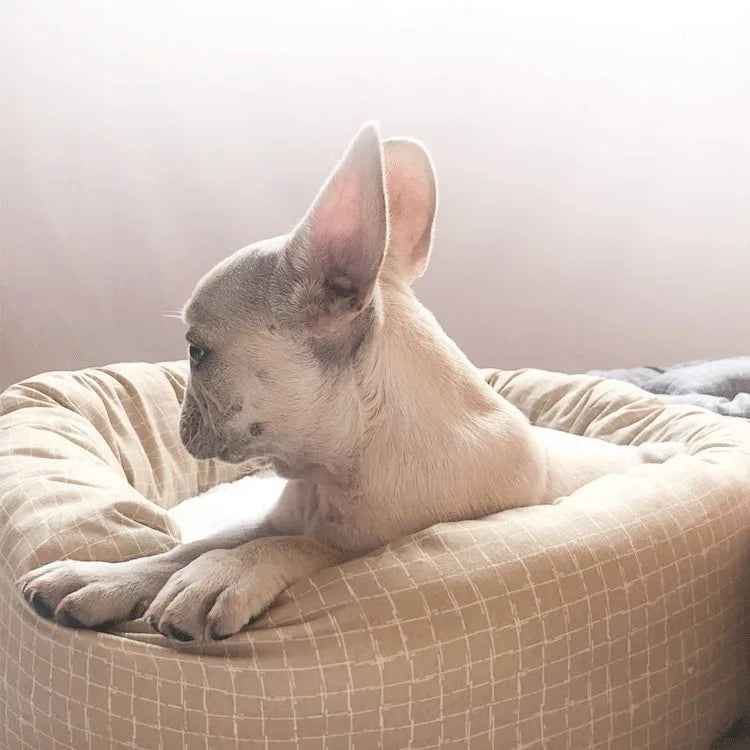 All Season Dog Cat Bed Washable Pet House Soft Warm Cushion for Small Medium Large Pets