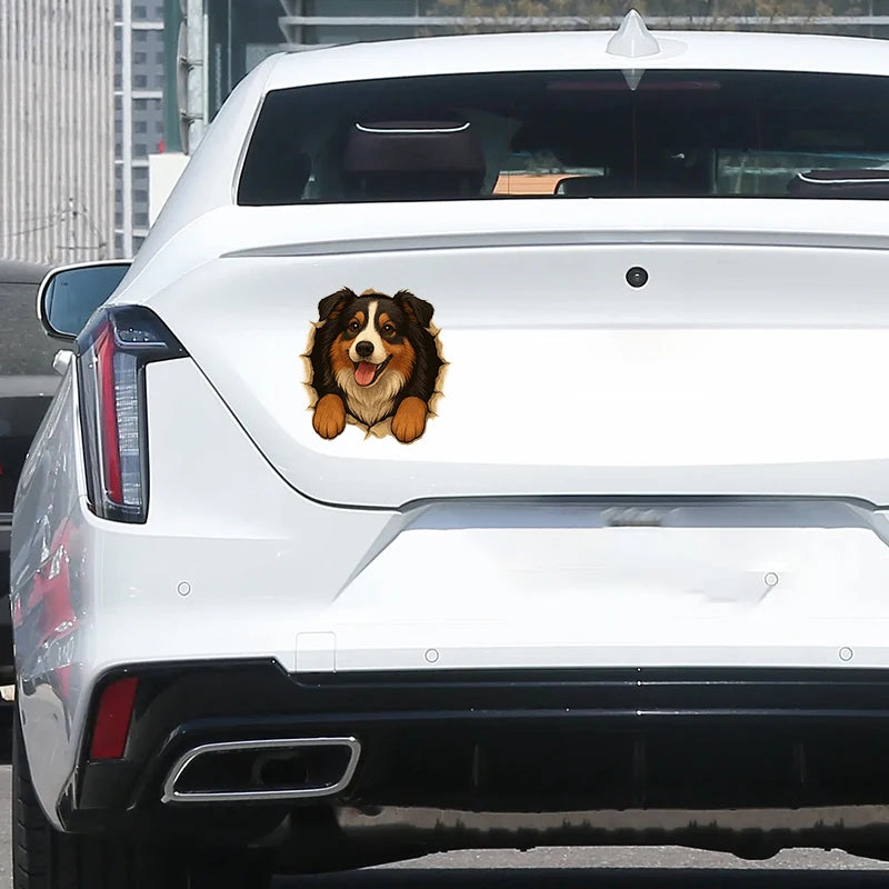 Australian Shepherd Car Sticker – Funny Peeking Dog Vinyl Decal, Waterproof Pet Lover Decoration for Vehicles,window,wall