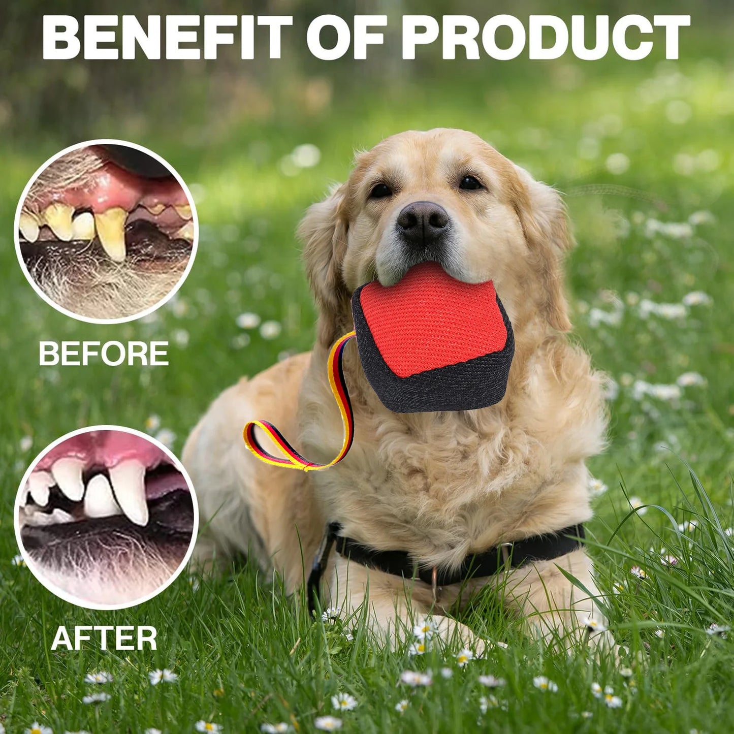 Dog Toy Training Chew  Interactive Tear Resistant Multifunctional Dog Teeth Grinding Bite  for Pet Exercise Dog Bite Toy