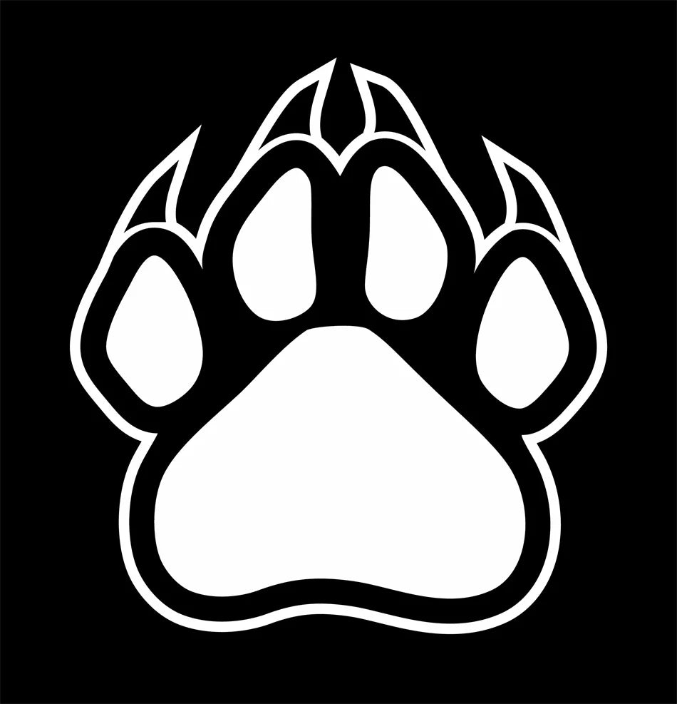 12 Pairs Women Girls Small Earrings 3D Animal Dog Bear Cat Paw Design Stud Earrings Set Golden Stainless Steel Jewelry Earrings