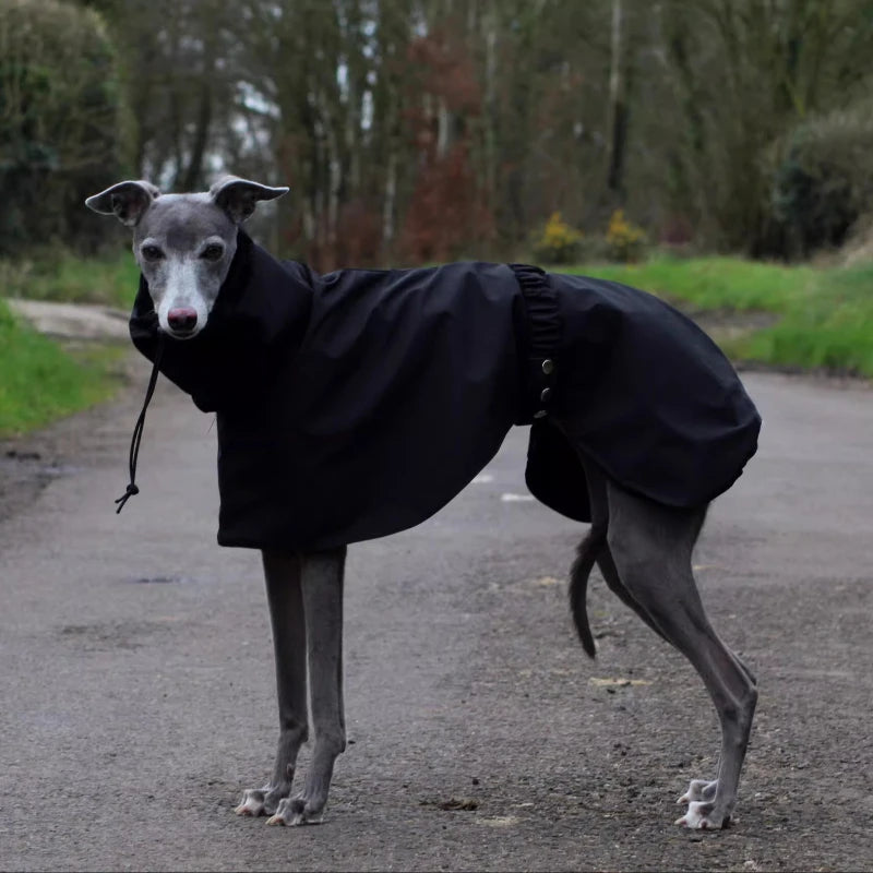 the DOBBIN DOG - Spring and Autumn Outing Breathable and Comfortable Dobbin Dog Clothes, Casual Warm Pet Raincoat Leisure Dog Cloak Raincoat