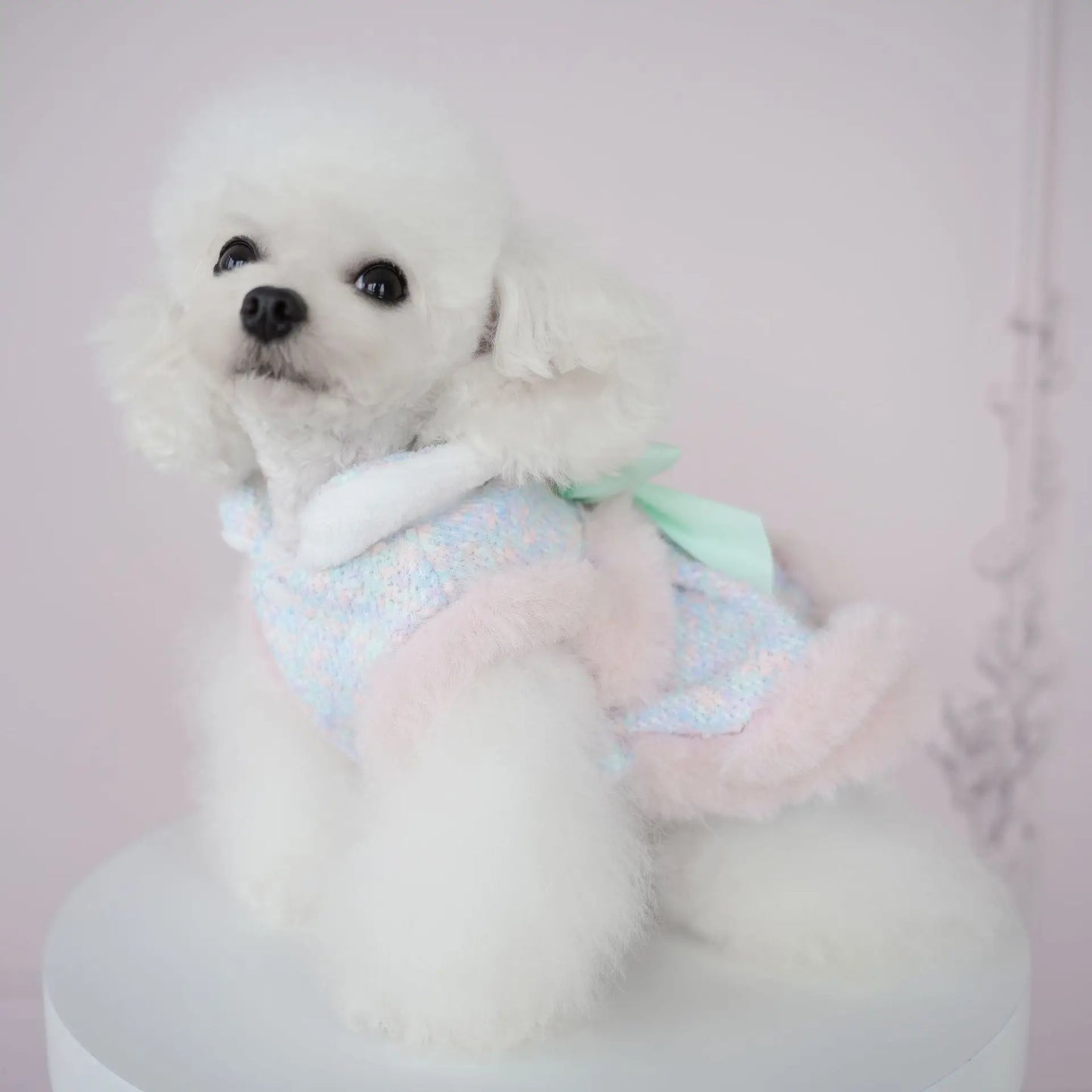 Pet Colorful Bow Set Skirt Autumn/Winter Bow Plush Coat Dress Warm Clothes Teddy Clothes Puppy Clothes for Small Dogs