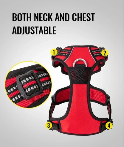 the SUREGRIP ALL-IN-ONE - Truelove Pet Harness+Pet Leash Set, Rope 110cm/200cm, All-in-One Reflective Dog Harness, No Pull, Adjustable Buckles