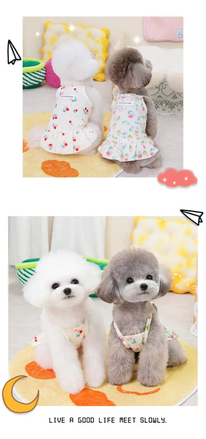 Cotton INS Cherry Pet Puppy Skirt Dog Clothes Small Dog Pomeranian Dresses Teddy Summer Floral Suspender Skirt Puppy Clothing