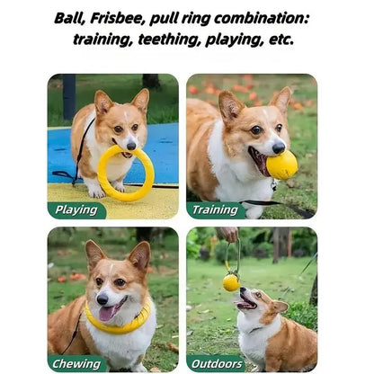 3/4pcs Interactive Dog Toy Set Flying Disc Rope Ball Bite Resistant EVA Material for Aggressive Chewers Large Breed Dog Training