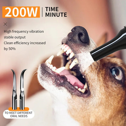Ultrasonic Portable Electric Dog Toothbrush Professional Plaque Calculus Removal Teeth Whitening for Pet Dental Care