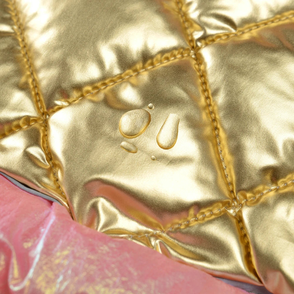 Warm Pet Clothes Waterproof Outdoor Puppy Jumpsuits For Small Medium Dog Winter Windproof With D-ring Vest Coat Chihuahua Outfit