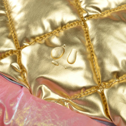 Warm Pet Clothes Waterproof Outdoor Puppy Jumpsuits For Small Medium Dog Winter Windproof With D-ring Vest Coat Chihuahua Outfit