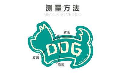 Pet Dog Four Legged Pants Dog Color Contrasting Jumpsuit Autumn and Winter Thick Lamb Fleece Four Leg Puppy Coat Bear Small Dog