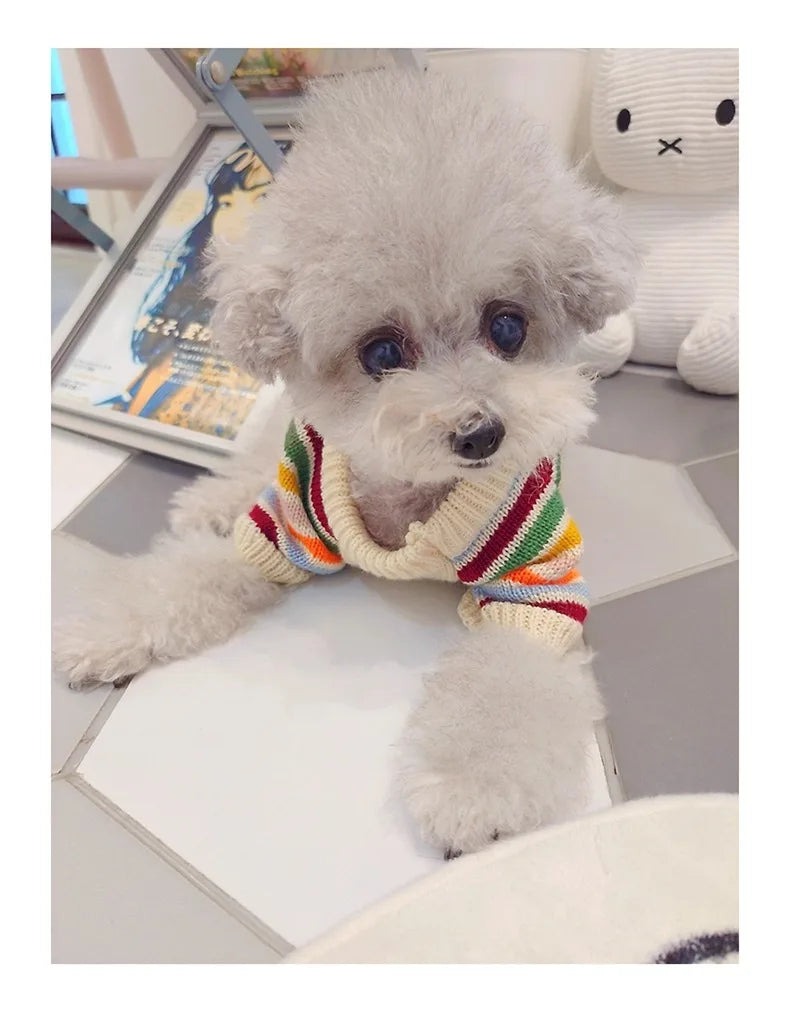 Winter Warm Clothes for Bichon Frise, Teddy, Yorkie, and Other Dogs. Thick Two-paw Sweater for Autumn and Winter Dog Walking.