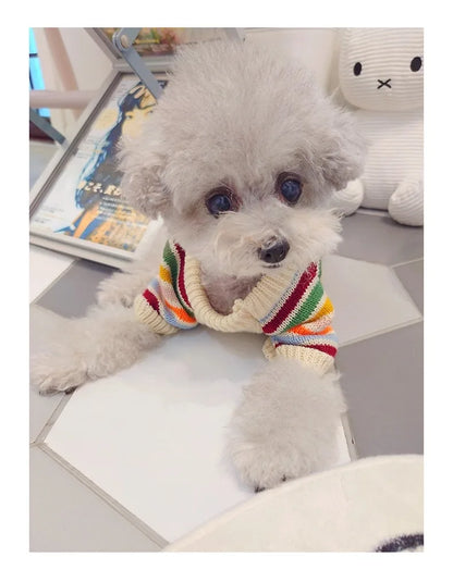 Winter Warm Clothes for Bichon Frise, Teddy, Yorkie, and Other Dogs. Thick Two-paw Sweater for Autumn and Winter Dog Walking.