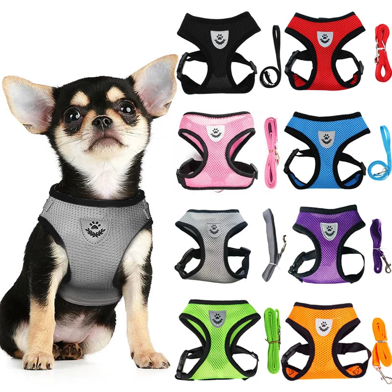 the MESHWALK COMFORT SET - Cat/Small Dog Breathable Mesh Harness and Leash, Kitten/Cats Harnesses, Little Dog/Puppy Harness for French Bulldog, Chihuahua, Pug