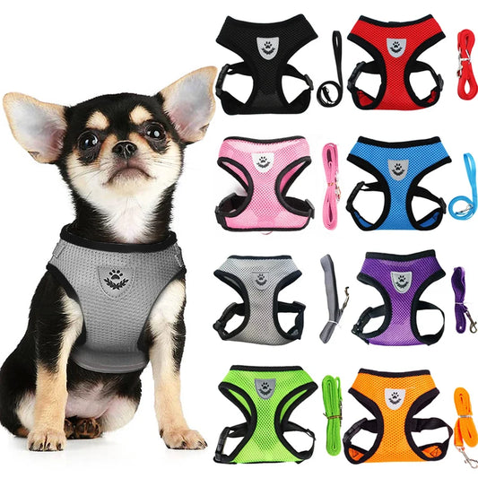 the MESHWALK COMFORT SET - Cat/Small Dog Breathable Mesh Harness and Leash, Kitten/Cats Harnesses, Little Dog/Puppy Harness for French Bulldog, Chihuahua, Pug