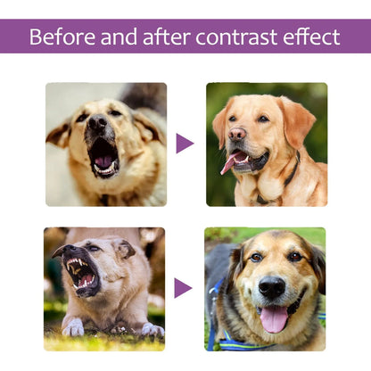 the CALMING SPRAY - 50ml Pet Relaxants, Dog Noise Reduction, Calming Spray for Barking Restless, End the Dog's Negative Behavior, Pet Health Supplies
