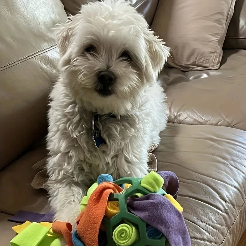 1pcs Interactive Dog Toy - Sniffing Ball for Hiding Treats - Rubber Puzzle Ball for Mental Stimulation Pet Supplies