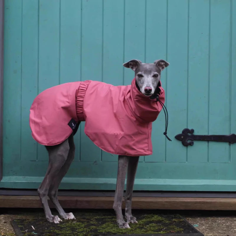 the DOBBIN DOG - Spring and Autumn Outing Breathable and Comfortable Dobbin Dog Clothes, Casual Warm Pet Raincoat Leisure Dog Cloak Raincoat