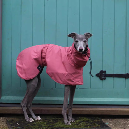 the DOBBIN DOG - Spring and Autumn Outing Breathable and Comfortable Dobbin Dog Clothes, Casual Warm Pet Raincoat Leisure Dog Cloak Raincoat