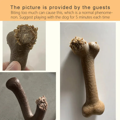 the CHEWY - Caitec Dog Toys, Chewing Bone Toys, Durable Bite Resistant, Great for Tossing and Chasing, Suitable for Small to Large Dogs