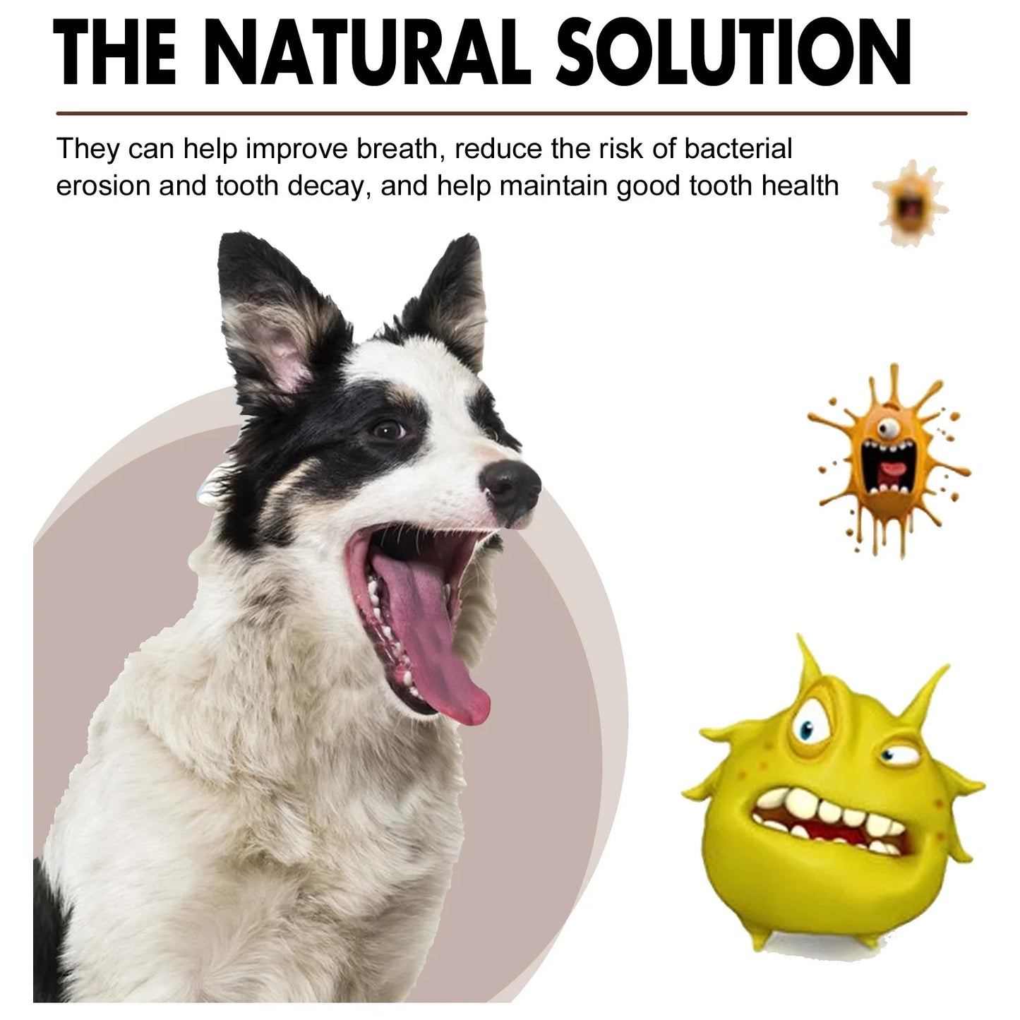 the NATURAL SOLUTION - Pet Tooth Cleaning Spray, Dogs Remove Bad Breath Freshener, Dogs/Cats Oral Cleaning Dental Care Deodorization Spray, Pet Supplies 30ml
