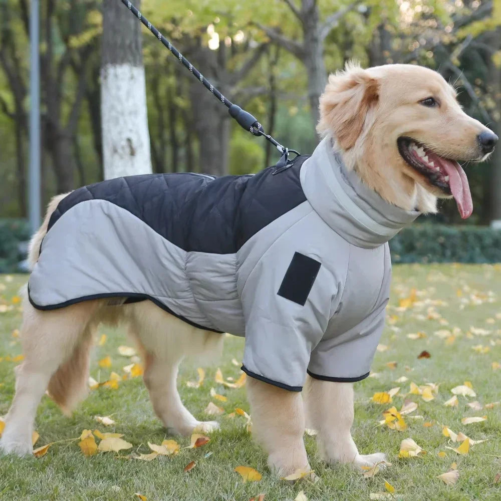 Winter Pet Clothes Golden Labrador Retriever Waterproof Dog Jumpsuit Medium Big Dog, Big Dog Winter Warm Cotton Blend Coat