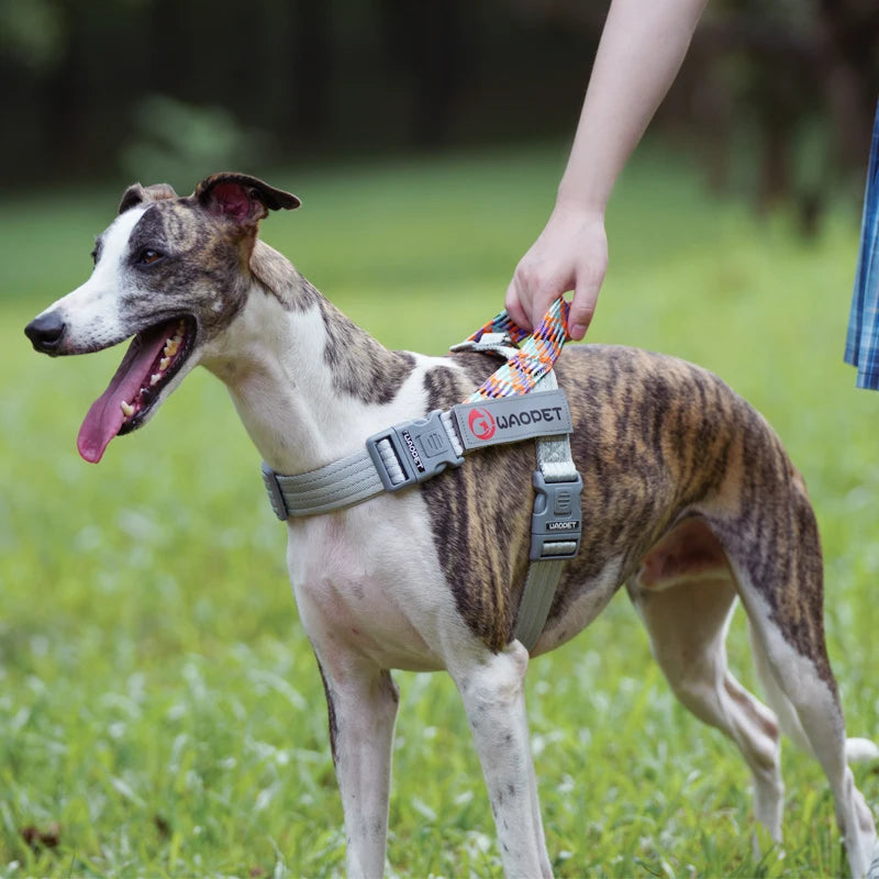 Large Pet Dog Reflective Harness Cat Chest Strap Adjustable Small Medium Dog Puppy Harness Vest Teddy Outdoor Walker Lead Leash