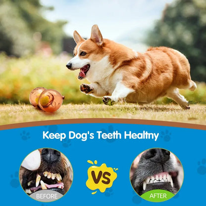 Pet Dog Chew Toy Outdoor Pet Puppy Bite Resistant Molar Floating Rubber Tennies Bear Squeaky Toy Dog Squeaky Toy Accessories