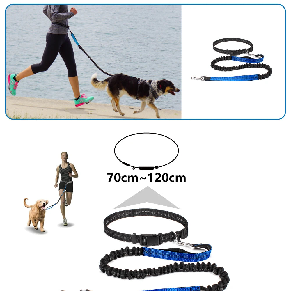 the FLEXRUN HANDS-FREE LEASH - Hands-Free Dog Leash for Pet Walking/Running/Jogging, Adjustable Dog Leash Waist Belt/Chest Strap Traction Rope, Dog Accessories