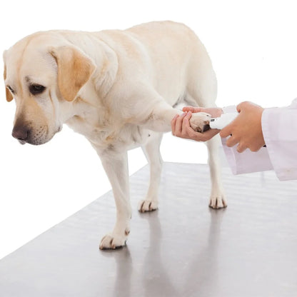 the PAWPERFECT GRINDER - Electric Pet Nail Trimmer, USB Powered Low Noise Pet Nail Grinder, Clipper for Dog/Cat, Grooming Care Electric Dog Nail Grinder