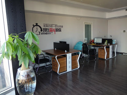 Luxury Dog House Series Outdoor Small Medium Large All Season Rainproof Plastic Kennel Dog House With Window