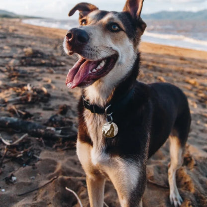 the LONEPAW WOODLAND ID - Custom Wolf and Tree Pet ID Tag, Personalized Free Engraved Keychain for Cat/Puppy/Dog Tag, Pendant Keyring Round Pet Accessories